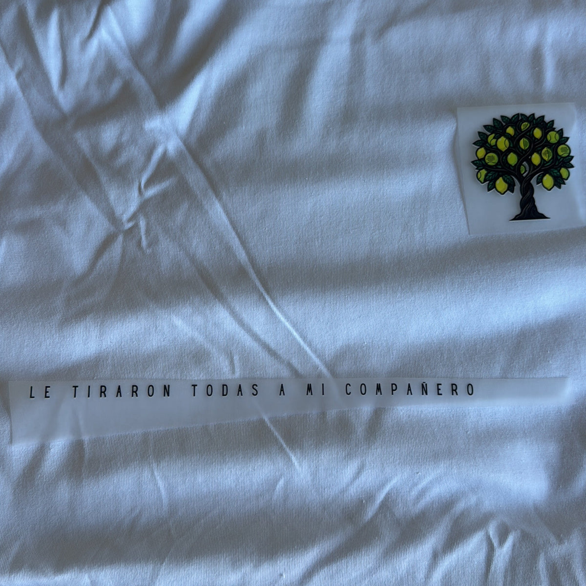 Remera Amiguera